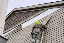 Best Custom Siding Design  in Cobden, IL